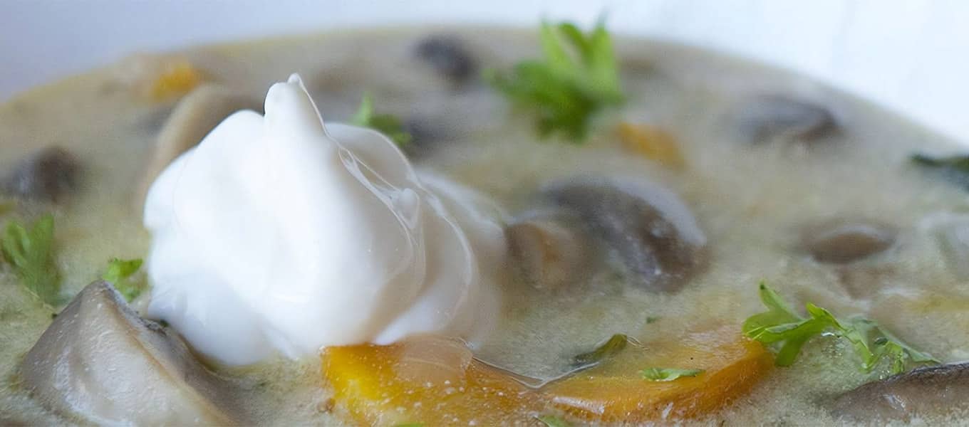 Soupe au poireau et aux champignons Olympic Dairy